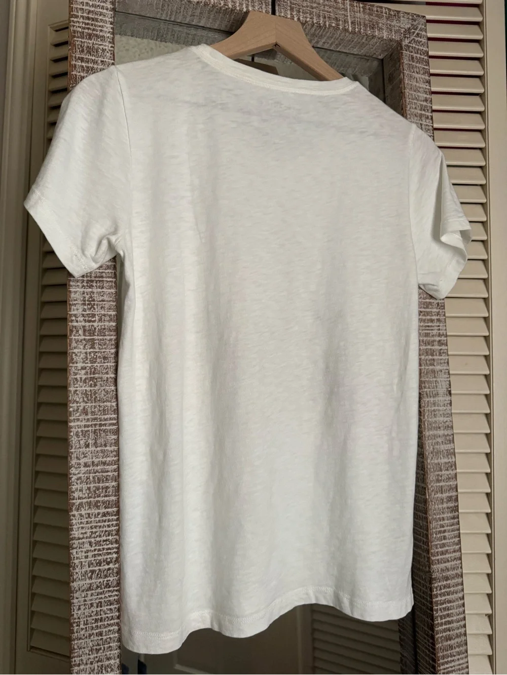 J. Crew Mercantile Collector Tee with Pet Holiday Graphic